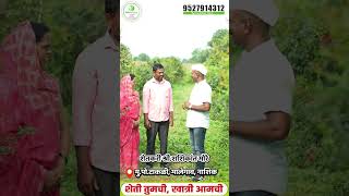 रामा ॲग्रोटेकच्या निमकरंजाचा डाळिंबासाठी मिळाला रिझल्ट | Rama Agrotech