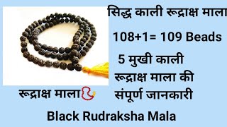 काली रुद्राक्ष माला || Black Rudraksha Mala || Haridwar Uttarakhand