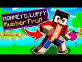 I Became MONKEY D. LUFFY In Minecraft One Piece!