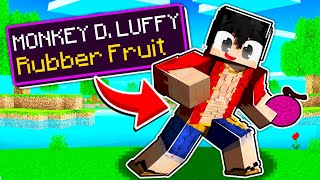 I Became MONKEY D. LUFFY In Minecraft One Piece!
