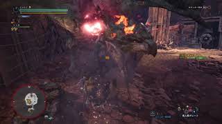 MHW：：平凡ランサーが行く！上位リオレイア（特殊闘技場