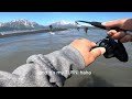 2024 Alaska Seward Snagging Sockeye Salmon #salmonfishing