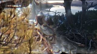 Early Sunday morning in the valley FOBBV CAM Big Bear Bald Eagle Live Nest Cam 1 / Wide View Cam 2