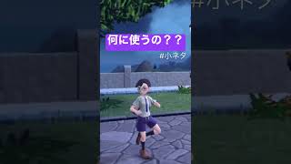 【ポケモンSV】小ネタ？この機能何に使うのかな...