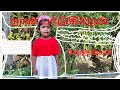 #Shorts | 19.12.2021 | Jaffna, Srilanka | Song | Tamil vlogs | Tamil Mix Sumi