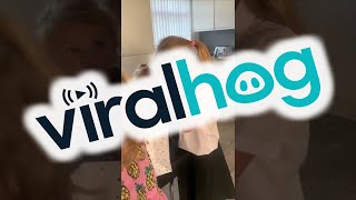 Surprising Granddaughter with a Birthday Kitten || ViralHog