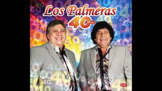 LOS PALMERAS ASESINA