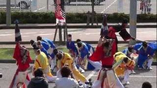 近江湖彩天舞（YOSAKOIソーラン日本海本祭2011）