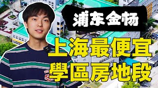 500萬不到就能買下的上海浦東學區房？ ！也只有在金楊了！| 楊六娃本娃