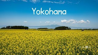 Yokohama ～青森県横浜町～