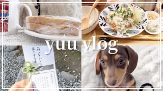 ［vlog］20代社会人の休日と日常🌞/子犬を迎え入れました🐕/年末年始の過ごし方/初詣⛩おみくじ/朝食作り🥣