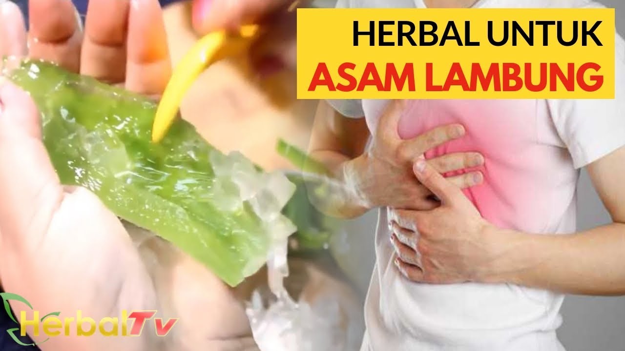 Minim Resiko, Ini Bahan Alami Yang Bisa Meredakan Asam Lambung Tinggi ...