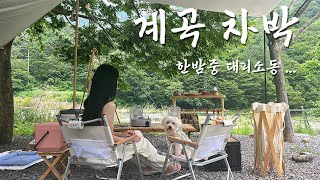 장마와 동시에 우중차박캠핑!! 그땐 미처 알지 못했지..| 막창과 삼겹살 | 얼음 동동 냉면 |밀양산여울캠핑장 | 우중캠핑 | 투싼 | 애견차박 | 캠핑 | 차박 | 애견동반캠핑