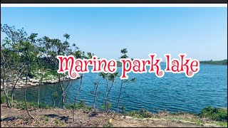 Marine park lake, Brooklyn New York