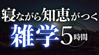 【睡眠導入】寝ながら知恵がつく雑学5時間【合成音声】