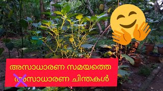 കൃഷി --ഒരു വിപരീത ചിന്ത-!.