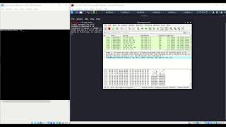 Carrying Out a DoS attack using Hping3