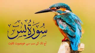 Surah Yaseen Ki Tilawat | Surah Yasin Full | Surah Yaseen | Daily Quran Tilawat Surah Yasin Complete
