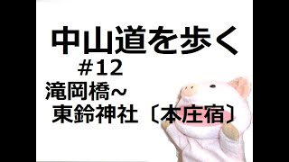 中山道 ほぼテント泊・野宿 独り歩く道案内 #12（滝岡橋~唐鈴神社〔本庄宿〕）