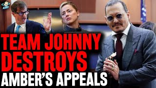 BURN! Team Johnny Depp DESTROYS Amber Heard's KITCHEN SINK APPEAL! Lawyers React