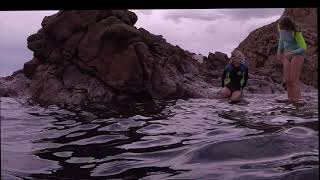 Snorkelling at stokes bay