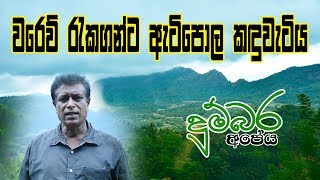 ඇටිපොල කන්දේ විනාශය | Atipola kande vinashaya