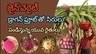 డ్రాగన్ సాగులో సిరులు | రైతు:9398242321  @LBCnewstelugu  #dragonfruit  #trending #agriculture