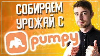 Фармим в PumpyFarm | Собираем недельный УРОЖАЙ!