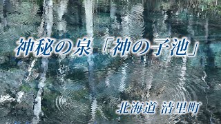 北海道 神の子池（摩周湖の麓に湧く神秘の泉）