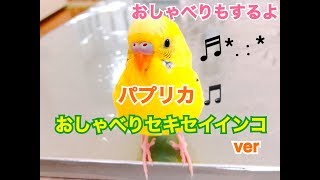 セキセイインコのキハルちゃんパプリカ歌えます