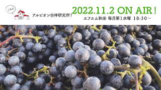 【#46】こちらアルビオン白神研究所！２０２２年１１月２日放送分