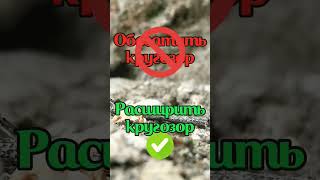 Говори правильно #русскийязык #русский #огэ #егэ #лайк #подписка #shorts