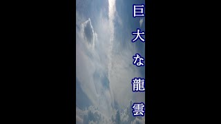 【龍雲、天高く🐉⛅幸運、願い事を運ぶ】Dragon Clouds Blue Sky, Happiness/बादल, गुड लक「スピリチュアルパワー、Spiritual power」#shorts