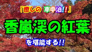 【フリードスパイクで車中泊６５】香嵐渓の「紅葉」を堪能する♪「香嵐渓」「井山展望台」