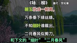 咏柳讲解朗读 中国唐代 贺知章Ancient Chinese Poems of the Tang Dynasty不知细叶谁裁出二月春风似剪刀About the Praise of the Willow