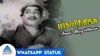 Aanai Mugatthone Whatsapp Status | Bhaaga Pirivinai Tamil Movie Songs | Sivaji Ganesan | TMS