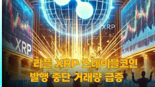 리플 XRP 스테이블코인 발행 중단 거래량 급증