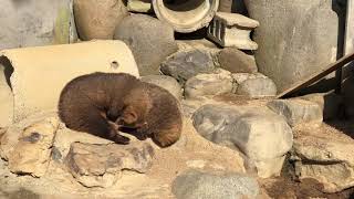 とべ動物園