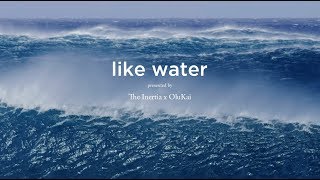 Like Water: Why Lifeguards in Hawaii Shouldn’t Be Sued for Saving Your Life - The Inertia