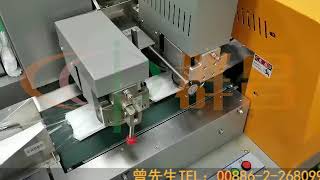 口罩枕式包裝機Mask pillow packaging machine