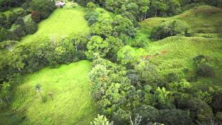 Aerial Video of Carara Mountain Organic Farms