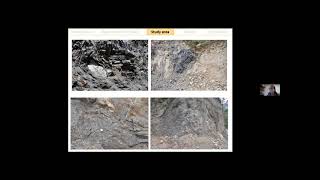 Graphite within the Granjeno Schist metamorphic complex: a metamorphic .... S.A. Torres-Sánchez