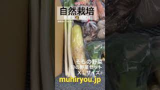 自然栽培　旬の野菜セット　2023.1.26 #shorts #自然栽培 #無農薬 #無肥料 #sdgs #食品安全 #オーガニック #無添加 #食糧危機 #食糧備蓄　#家庭菜園 #食品スーパー