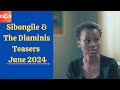 Sibongile & The Dlaminis Teasers June 2024 | Mzansi wethu