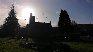 Remembering Loved Ones - A Celebration of Life 2020