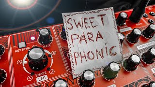 Behringer Neutron Paraphonic Example ( patch included )