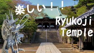 楽しく藤沢の名所！ 片瀬の名刹・龍口寺を撮ってみた 【VLOG】【エノタクてくてく日和】