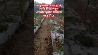 অজু করার সময় এই একটি দুয়ার আমল করুন আল্লাহ তাআলার সৌন্দর্যতা দান করবেন