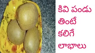 Health benefits of kiwi fruit/ super foods/ కివి పండు తింటే కలిగే లాభాలు/in telugu