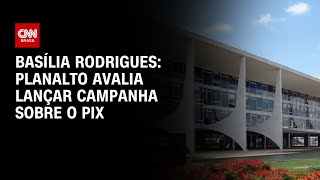 Basília Rodrigues: Planalto avalia lançar campanha sobre o Pix | LIVE CNN